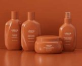 Repair – Regeneration