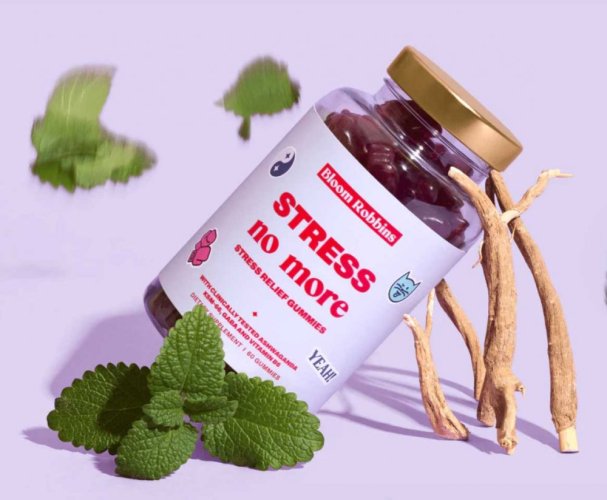 Bloom Robbins STRESS no more – Gummies proti stresu 60 ks