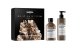 L'Oréal Professionnel Serie Expert Absolut Repair Molecular Duo sada pre poškodené vlasy šampon 300 ml + sérum 250 ml