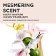 Kérastase Gloss Absolu Oil Spring Set – Bain Hydra-Gloss Shampoo 80 ml + Fondant Hydra-Gloss Conditioner 75 ml + Glaze Drops Öl 45 ml